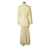 Solid Color Mesh Two Piece Skirt Set AIL-332