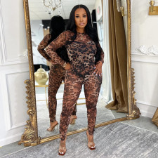 Leopard Mesh Print See Through Jumpsuit BY-7541