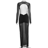 Solid Color Mesh Pleated Maxi Dress GSZM-C25DS287