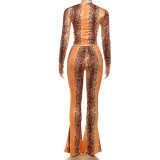 Long Sleeve Snake Print Two Piece Pants Set XEF-K25S84264