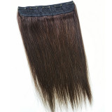 Human Hair Straight Multi-Color Seamless Hair Extensions JKLS-27279