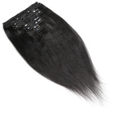 Human Hair Straight Clip In Extension Wig JKLS-80007