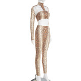 Snake Print Crop Top And Pants Two Piece Sets GSBD-J25ST344