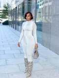 Snake Print Long Sleeve Tight Two Piece Pants Set OLYF-6193