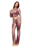 Fashion Casual Printed Zip-Up Long Sleeve Coat And Pants Suit YWXS-XS-4133