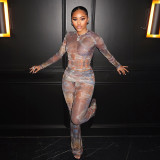 Print Long Sleeve See Through Two Piece Pants Set GSLF-K25S88792