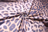 Leopard Print Long Sleeve Mini Dress GYME-K25D89757