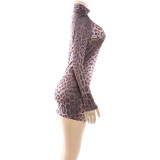 Leopard Print Long Sleeve Mini Dress GYME-K25D89757