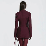 Deep V Neck Long Sleeve Ruched Mini Dress GAXB-W535DS
