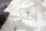 Plus Size White Rabbit Fur Hooded Coat HHMY-XF-腰带豹纹超长