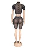 Sexy Fashion Mesh Short Sleeve Shorts Two Piece Set GFCF-1447