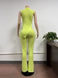 Sleeveless Solid Color Irregular Tops Pants Suit FSL-198