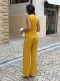 Solid Color Sleeveless V Neck Two Piece Pants Set GZEY-K25190121
