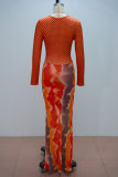 Long Sleevel Print Pleated Maxi Dress GANY-LB2359