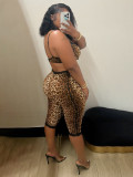 Leopard Print Sexy Bra+Seventh Pants 2 Piece Set BMF-842