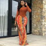 Long Sleevel Print Pleated Maxi Dress GANY-LB2359