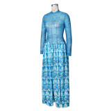 Mesh Print Long Sleeve Maxi Dress ZSD-0777