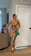 Print Backless Sling Tops Two Piece Pants Set TE-4757