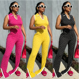 Polka Dot Print Sleeveless Top Two Piece Pants Set YNSF-8031
