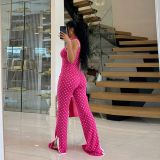 Polka Dot Print Sleeveless Top Two Piece Pants Set YNSF-8031