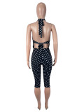 Polka Dots Print Halterneck Two Piece Pants Set SHD-9981