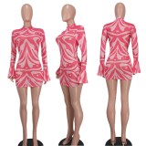 Mesh Print Long Sleeve Mini Dress YD-1175