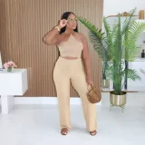 Solid Color Halterneck Two Piece Pants Set CYA-902385
