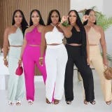 Solid Color Halterneck Two Piece Pants Set CYA-902385