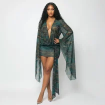 Mesh Deep V Neck Print Mini Dress GSZM-J26DS170