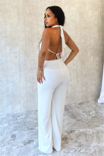 Solid Color Halterneck Backless Mesh Pants Suit SHD-9541