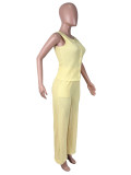 Solid Color Sleeveless Two Piece Pants Set SHD-8110