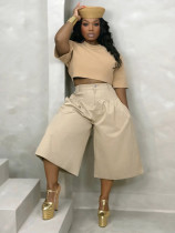 Solid Color Ruched Loose Trousers SH-391585