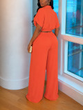 Solid Color Lapel V Neck Two Piece Pants Set HNIF-MC038