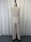 V Neck Sleeveless Top Wide Leg Pants 2 Piece Set GWDS-260509