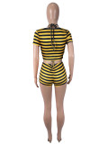 Stripe Print Short Sleeve Short 2 Piece Set SHD-9993