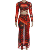 Long Sleeve Print Top Long Skirts 2 Piece Set DLSF-K6S10203A