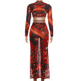 Long Sleeve Print Top Long Skirts 2 Piece Set DLSF-K6S10203A