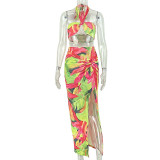 Sexy Print Halterneck Two Piece Skirts Set GJYO-JSD711908