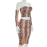 Snake Print Wrap Chest Top Two Piece Pants Set GDSF-D26ST206