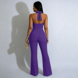 Backless Halterneck Micro Flare Jumpsuit YF-11072