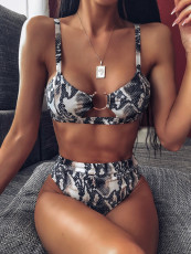 Print Bikinis 2 Piece Swimsuit CSYZ-B36