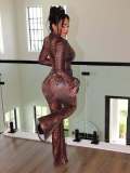 Mesh Print Long Sleeve Two Piece Pants Set MEM-88710