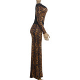 Leopard Print Long Sleeve Maxi Dress DLSF-K6D11938A