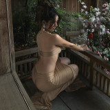 Chain Halterneck Split Maxi Dress DLSF-K6D10597A