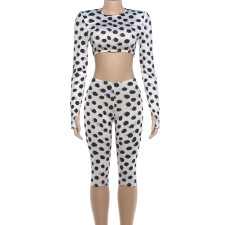 Polka Dot Print Long Sleeve Two Piece Pants Set DLSF-K6S13175A