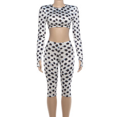 Polka Dot Print Long Sleeve Two Piece Pants Set DLSF-K6S13175A