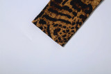 Leopard Print Long Sleeve Maxi Dress DLSF-K6D11938A