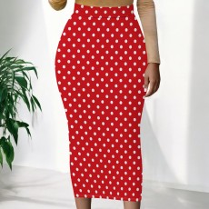 Casual Print Long Skirt QXLB-XRB-S5BGY6