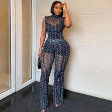 Sleeveless Print Slim Two Piece Pants Set GJYO-JS919210