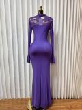 Mesh Patchwork Long Sleeve Maxi Dress GADE-11194